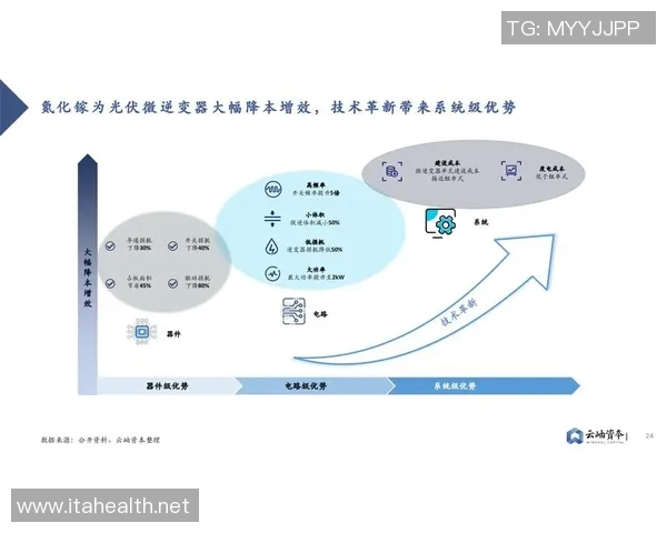 姚明华主任在推动篮球事业发展中的重要角色与贡献分析 姚明华主任在推动篮球事业发展中的重要角色与贡献分析