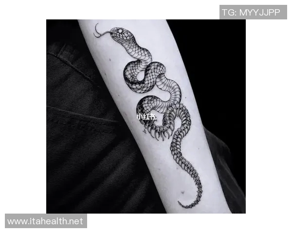 足球明星蛇纹身高清图片欣赏展现个性与魅力的完美结合 足球明星蛇纹身高清图片欣赏展现个性与魅力的完美结合
